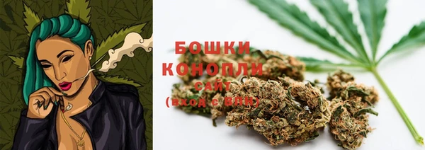 наркотики Бородино