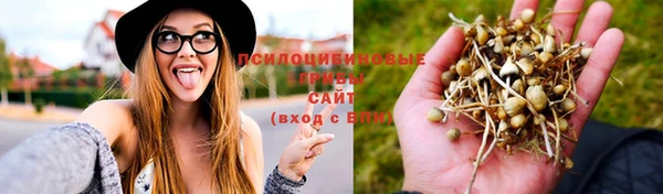 наркотики Бородино