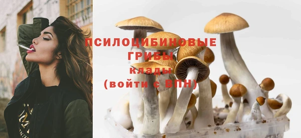 спиды Бронницы