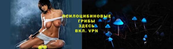 спиды Бронницы